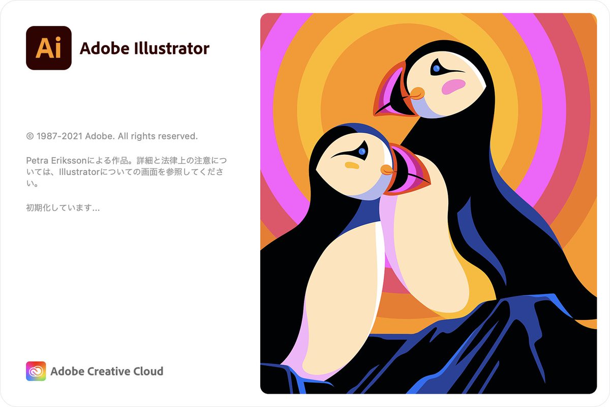Adobe Illustrator 2022 sXL FORMATIONS