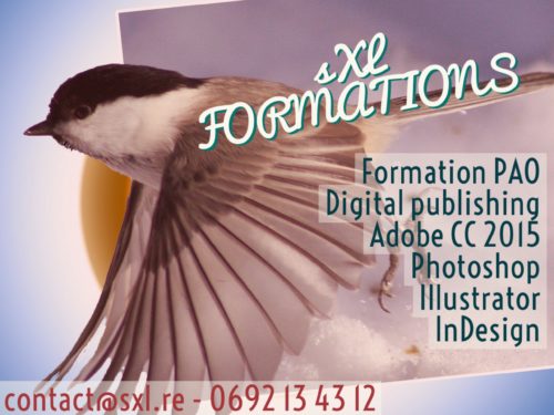 Image formation PAO Ile de la Réunion - Adobe Photoshop, Illustrator, InDesign.